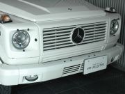 2008年メルセデスベンツG500L(写真)