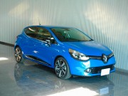 2013年　ルノールーテシアインテンス(写真)