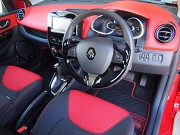 2013年　ルノールーテシアインテンス(写真)