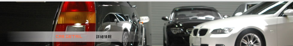 輸入車詳細情報